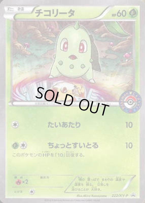 画像1: チコリータ【222/XY-P】 (1)