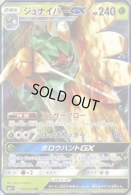 画像1: 【RR】ジュナイパーGX (1)