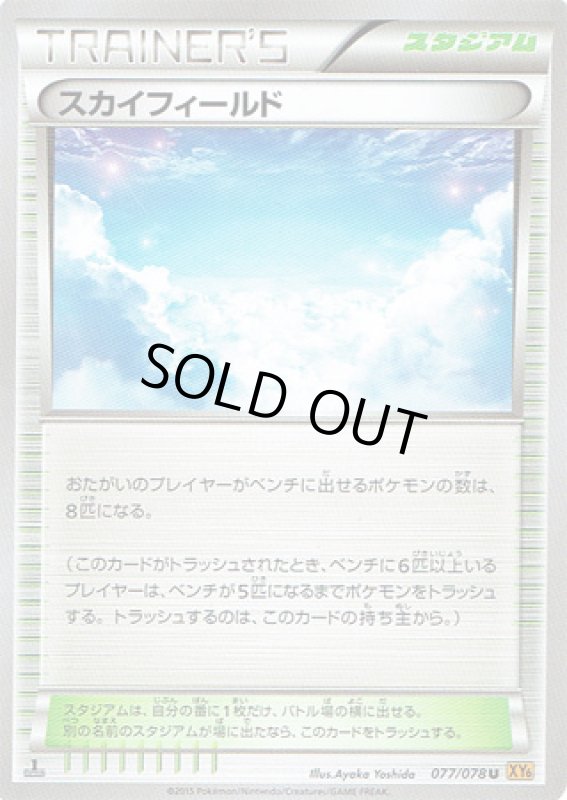 画像1: スカイフィールド (1)