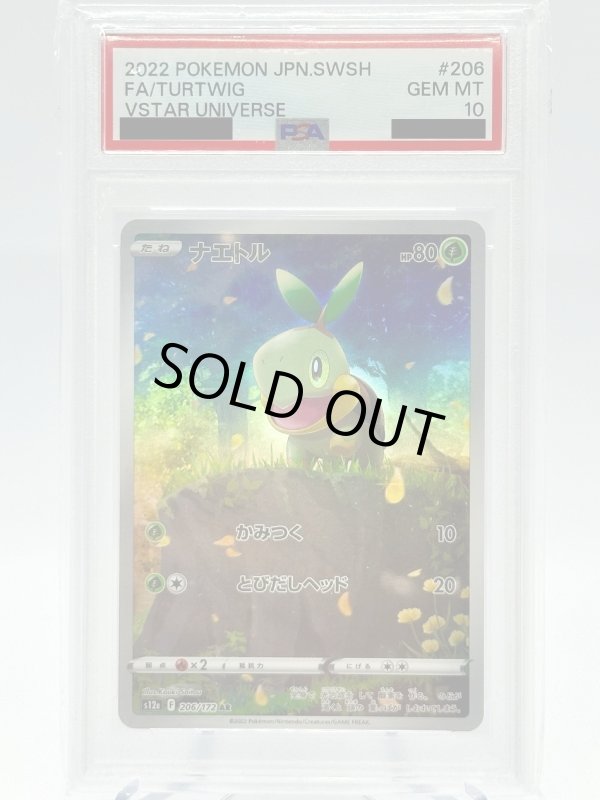 画像1: 【PSA10】ナエトル(206/172 AR) (1)