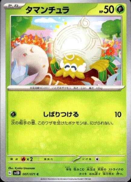 画像1: タマンチュラ(しばりつける) (1)