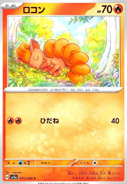 画像1: ロコン(ひだね) (1)