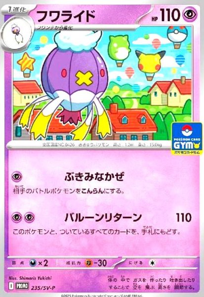 画像1: フワライド(235/SV-P) (1)