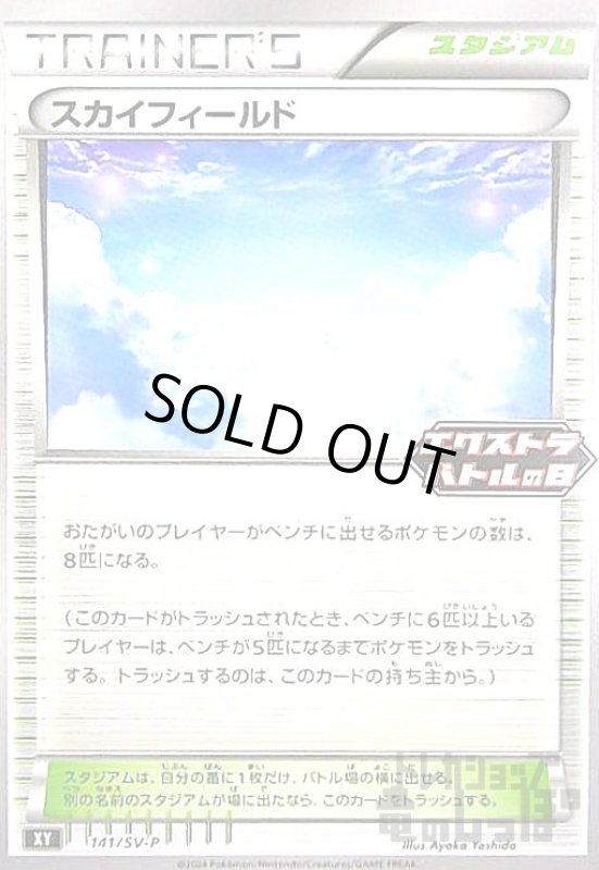 画像1: スカイフィールド(141/SV-P) (1)