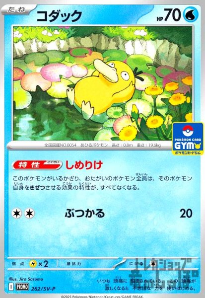 画像1: コダック(262/SV-P) (1)