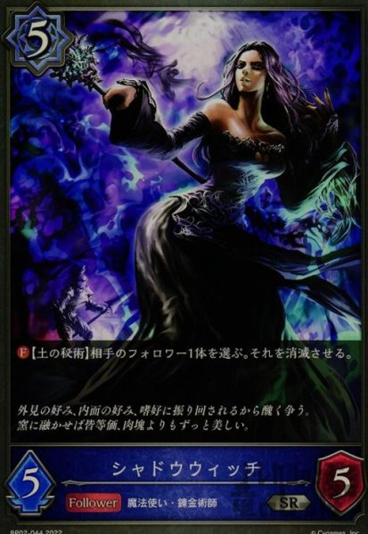 画像1: シャドウウィッチ (1)
