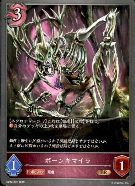 画像1: ボーンキマイラ (1)