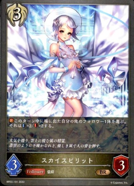 画像1: スカイスピリット (1)