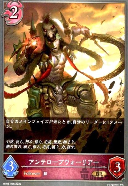 画像1: アンテロープウォーリアー (1)