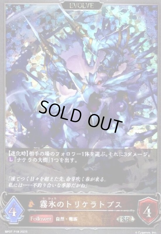 画像1: 霧氷のトリケラトプス(SR/プレミアム)(BP07-P18) (1)