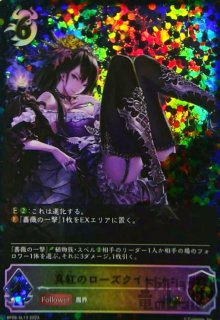 優美な猫姉妹・シャム&シャマ(LG)(BP11-003) - トレカショップ竜