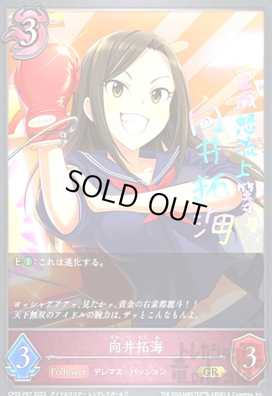 画像1: 向井拓海(GR/プレミアム)(CP02-P57) (1)