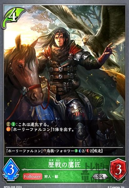 画像1: 歴戦の鷹匠(SR)(BP09-008) (1)