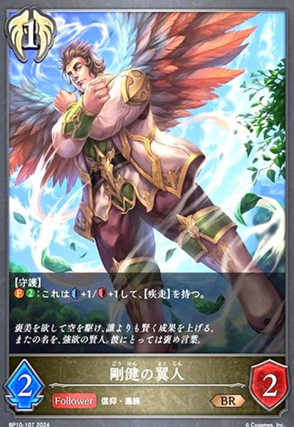 画像1: 剛健の翼人(BR)(BP10-107) (1)