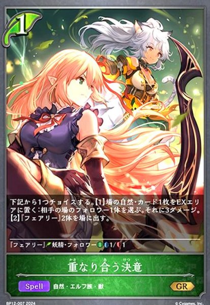 画像1: 重なり合う決意(GR)(BP12-007) (1)