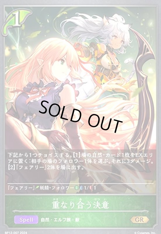 画像1: 重なり合う決意(GR)(BP12-007) (1)