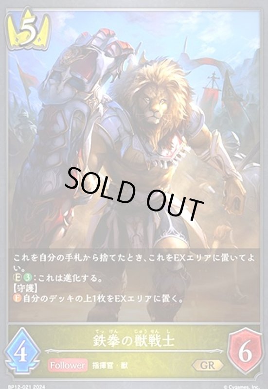 画像1: 鉄拳の獣戦士(GR)(BP12-021) (1)