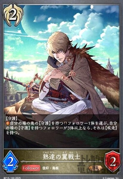 画像1: 熟達の翼戦士(BR)(BP15-109) (1)