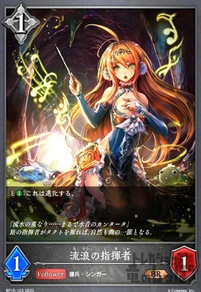 画像1: 流浪の指揮者(BR)(BP15-123) (1)