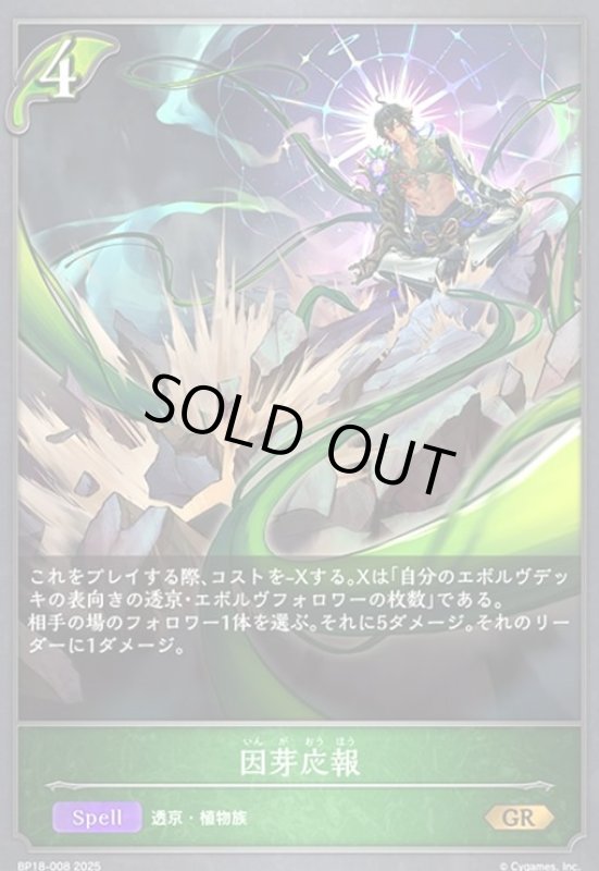 画像1: 因芽応報(GR)(BP18-008) (1)