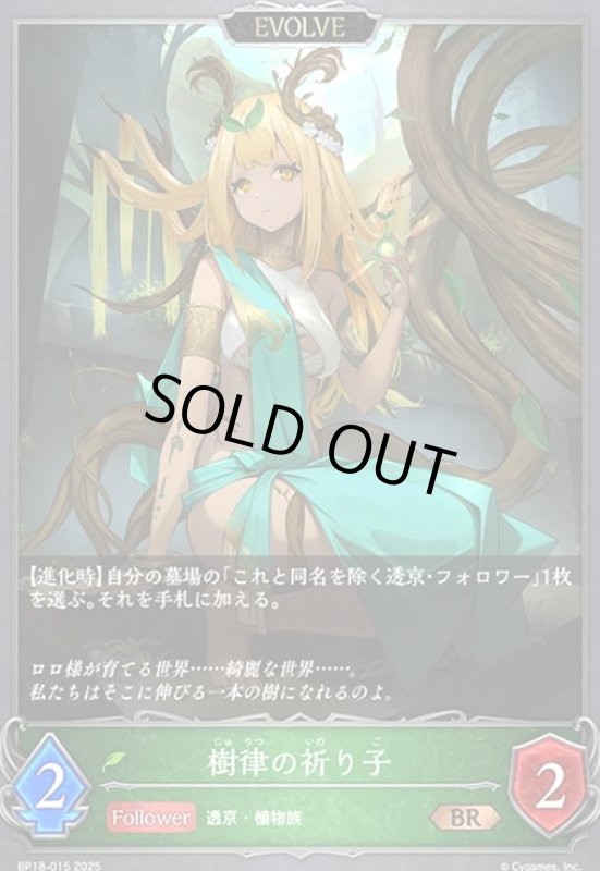 画像1: 樹律の祈り子(EVOLVE)(BR)(BP18-015) (1)