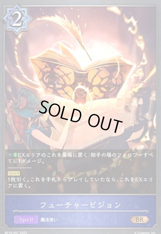 画像1: フューチャービジョン(BR)(BP18-057) (1)