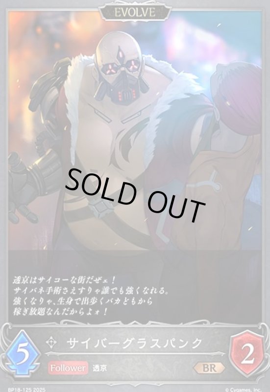 画像1: サイバーグラスパンク(EVOLVE)(BR)(BP18-125) (1)
