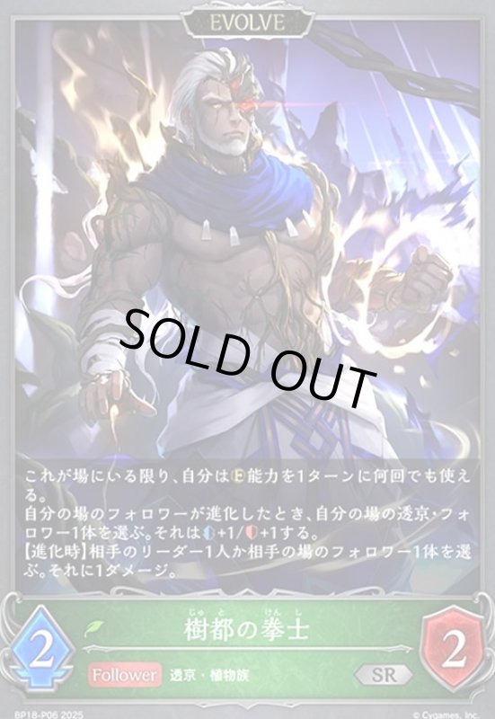 画像1: 樹都の拳士(EVOLVE)(SR/プレミアム)(BP18-P06) (1)