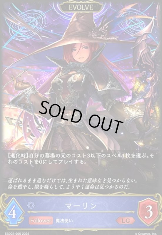 画像1: マーリン(EVOLVE)(LG)(EBD02-005)(ノーマル仕様) (1)