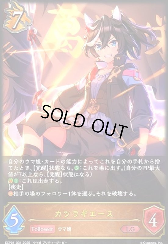 画像1: カツラギエース(LG)(ECP01-031) (1)