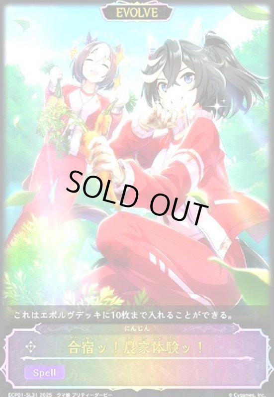 画像1: 合宿ッ!農家体験ッ!(SL仕様)(ECP01-SL31)(EVOLVE) (1)