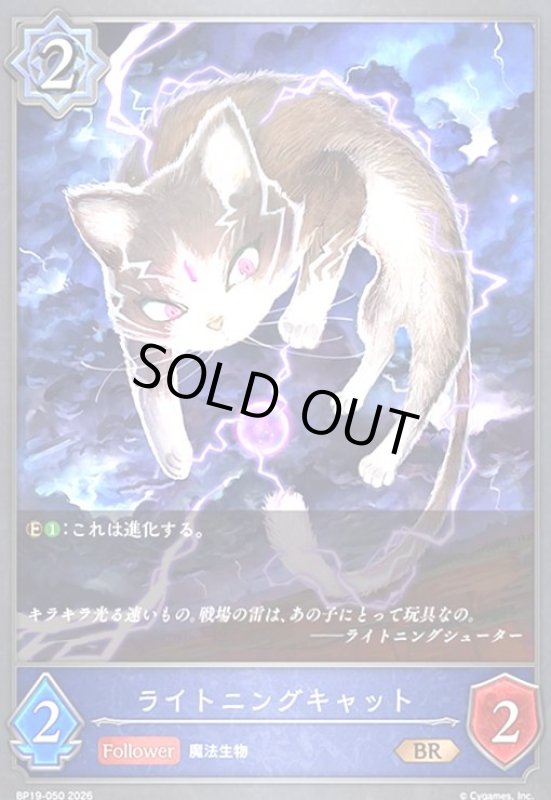画像1: ライトニングキャット(BR)(BP19-050) (1)