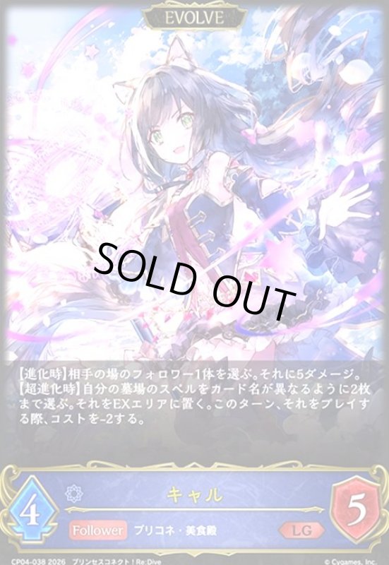 画像1: キャル(EVOLVE)(LG)(CP04-038) (1)