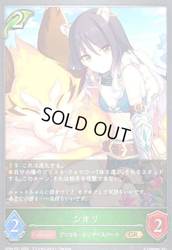 画像1: シオリ(GR/プレミアム)(CP04-P01) (1)