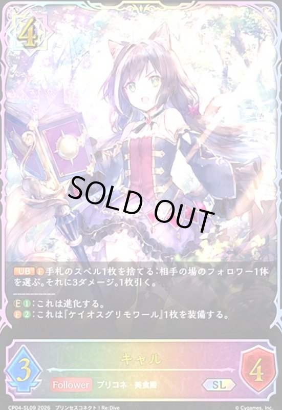 画像1: キャル(SL)(CP04-SL09) (1)