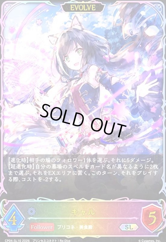 画像1: キャル(EVOLVE)(SL)(CP04-SL10) (1)