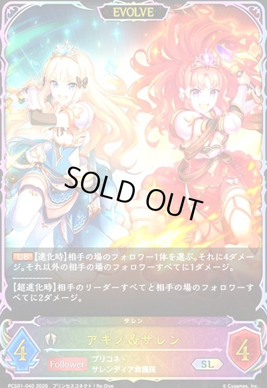 画像1: アキノ&サレン(EVOLEV)(SL)(PCS01-040) (1)