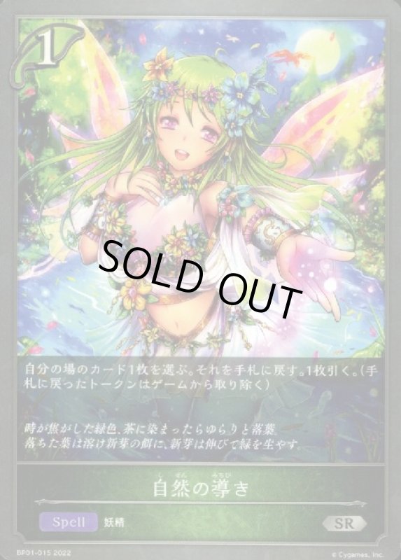 画像1: 自然の導き (1)