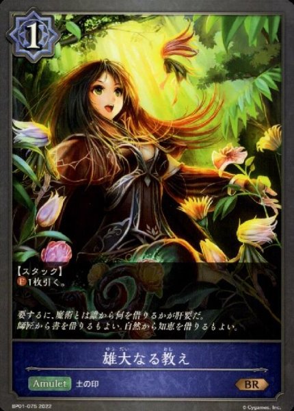 画像1: 雄大なる教え (1)