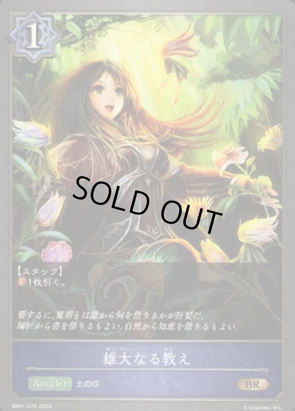 画像1: 雄大なる教え (1)