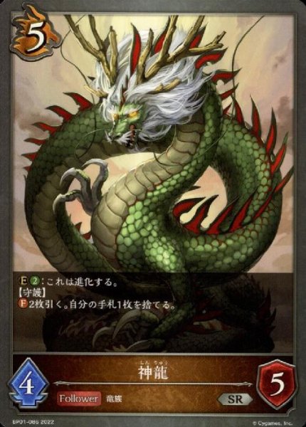 画像1: 神龍 (1)