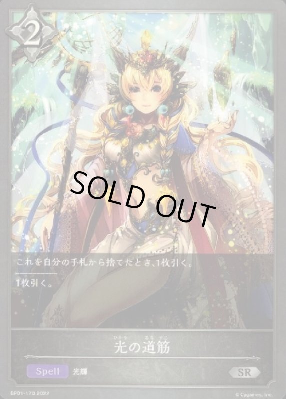 画像1: 光の道筋 (1)