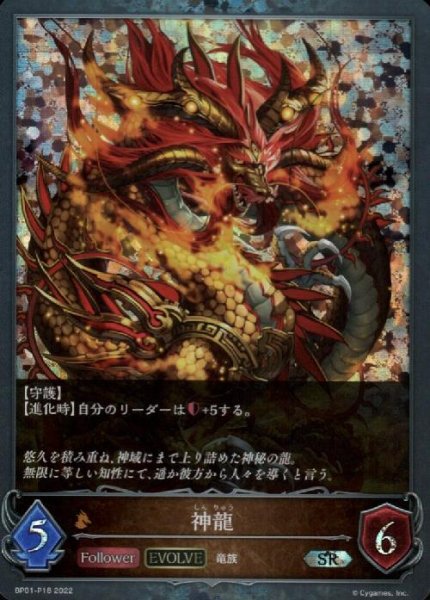 画像1: 神龍【SR/プレミアム】【BP01-P18】 (1)