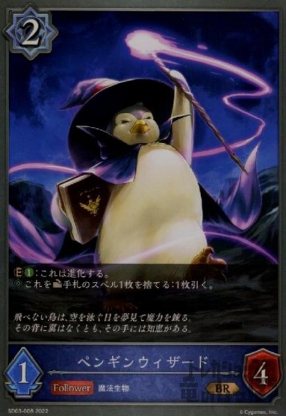 画像1: ペンギンウィザード (1)