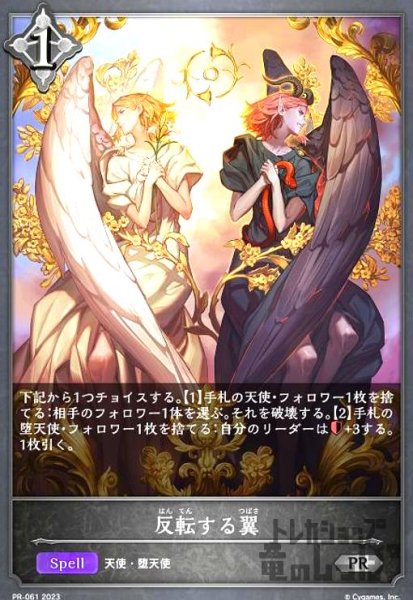 画像1: 反転する翼【プロモ】【PR-061】 (1)