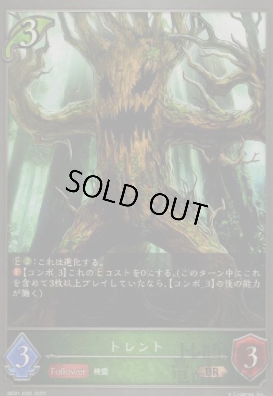 画像1: トレント (1)