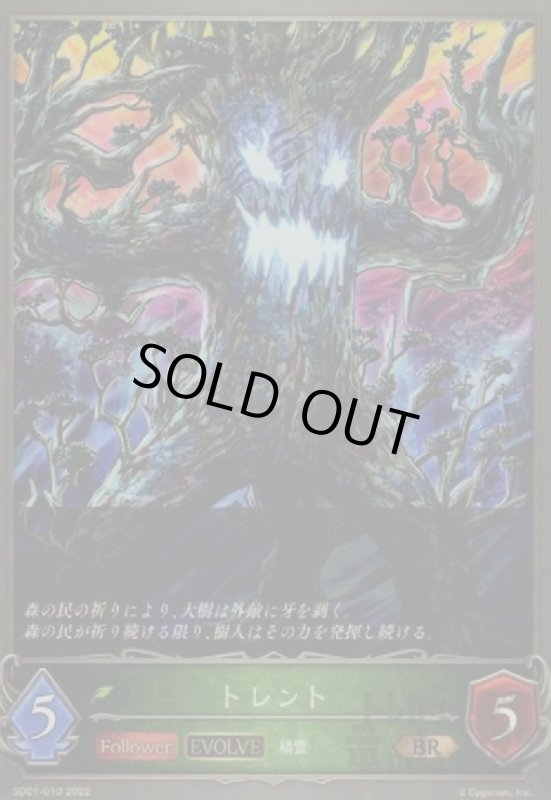 画像1: トレント【EVOLVE】 (1)