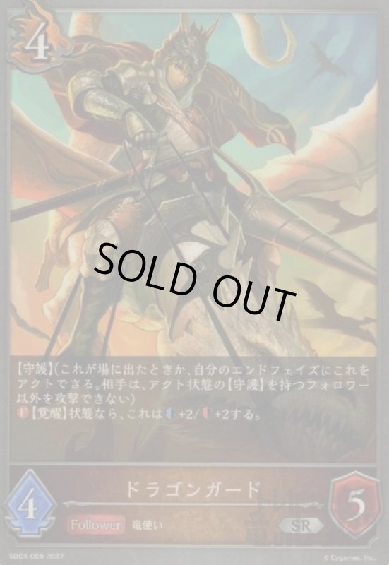 画像1: ドラゴンガード (1)