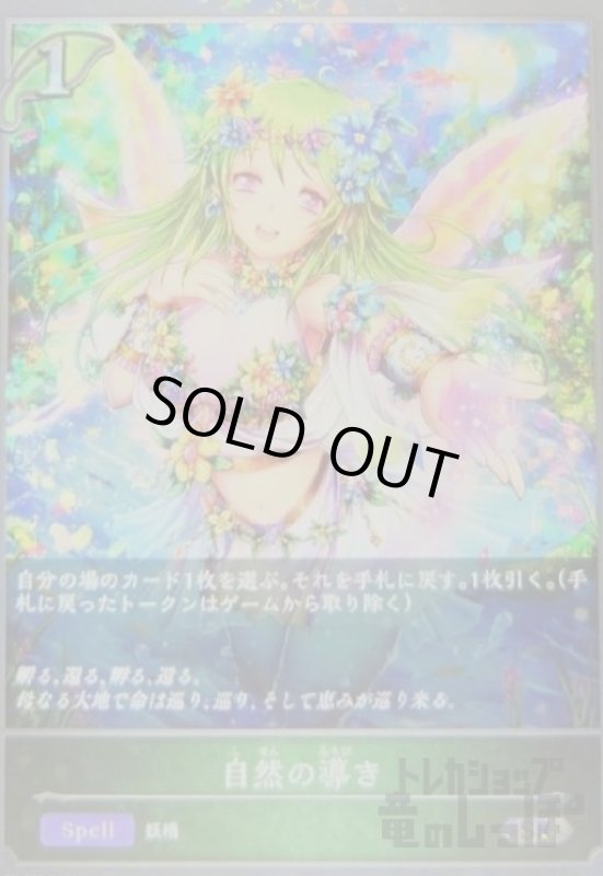 画像1: 自然の導き【プロモ】【PR-003】 (1)