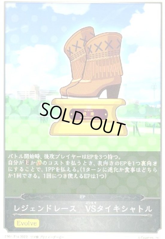 画像1: レジェンドレース VSタイキシャトル(EVOLVE) (1)